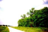 Brown Cemetery (1998) -- View from road